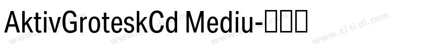 AktivGroteskCd Mediu字体转换